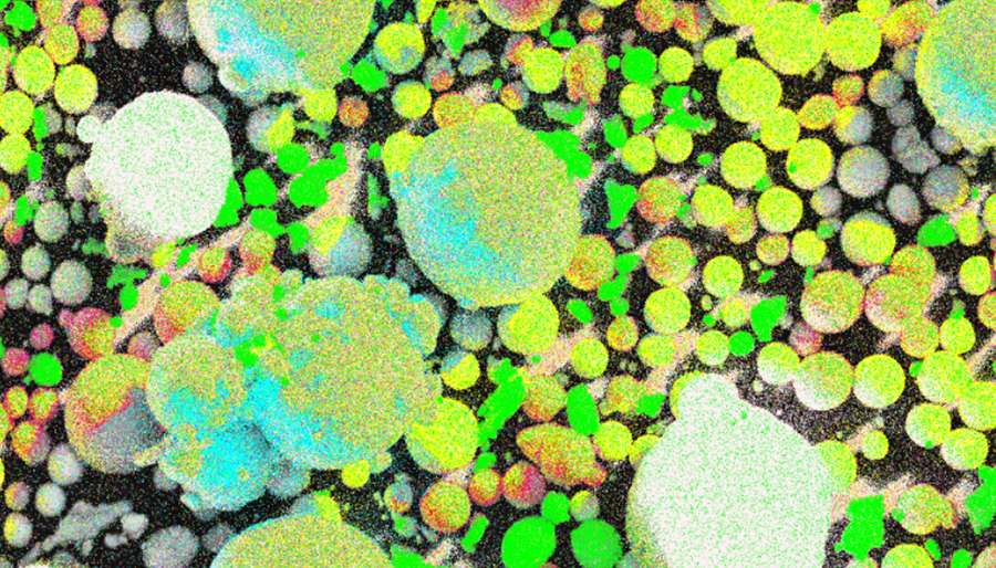 Настольный сканирующий электронный микроскоп(图1)