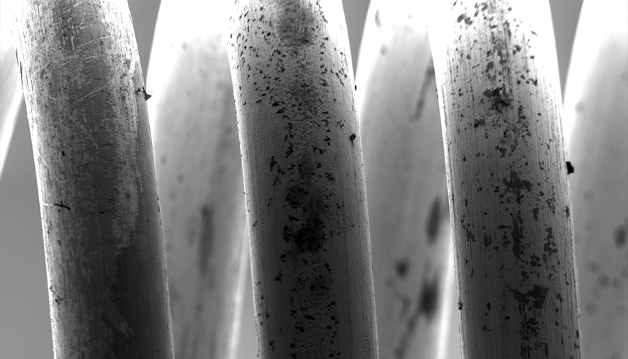 Настольный сканирующий электронный микроскоп(图2)