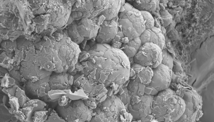 Настольный сканирующий электронный микроскоп(图4)