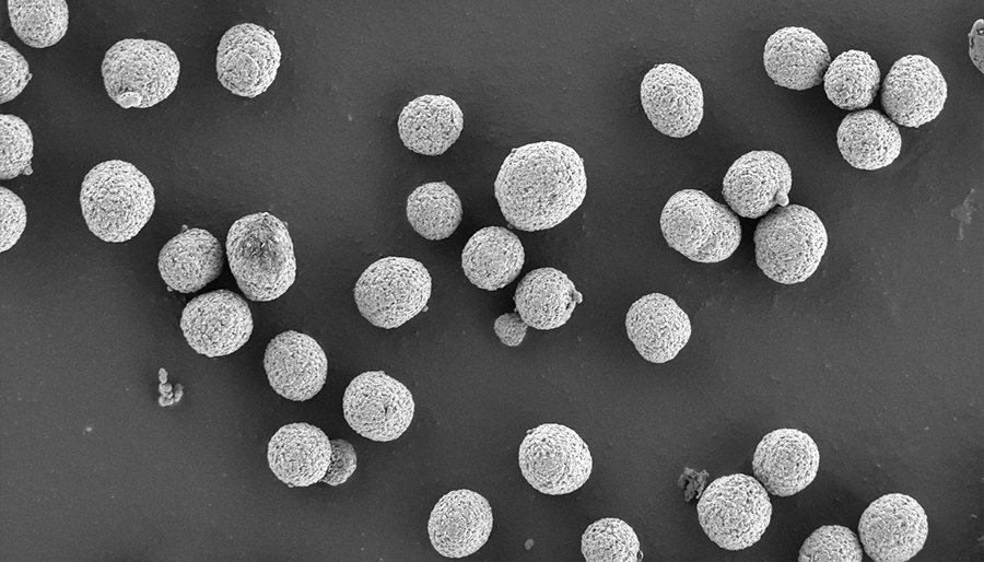 Настольный сканирующий электронный микроскоп(图5)