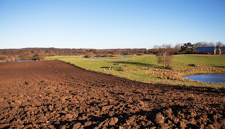 LIBS 3000 онлайн-спектрометр с лазерным индуцированным пробоем(图5)